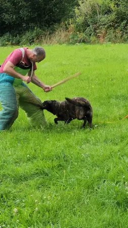 image formation assistant