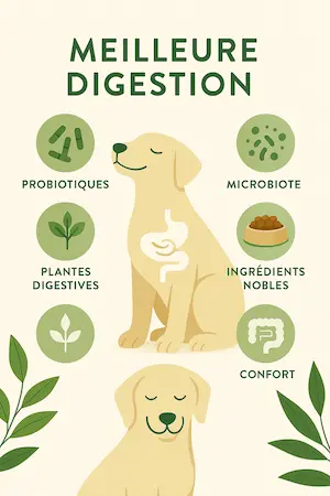 Meilleure digestion pour chien